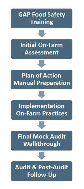 GAP certification process